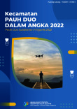 Kecamatan Pauh Duo Dalam Angka 2022